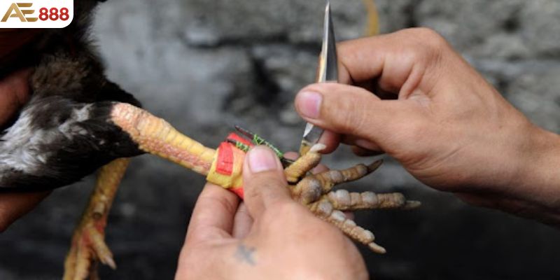 Giao dịch rất nhanh chóng